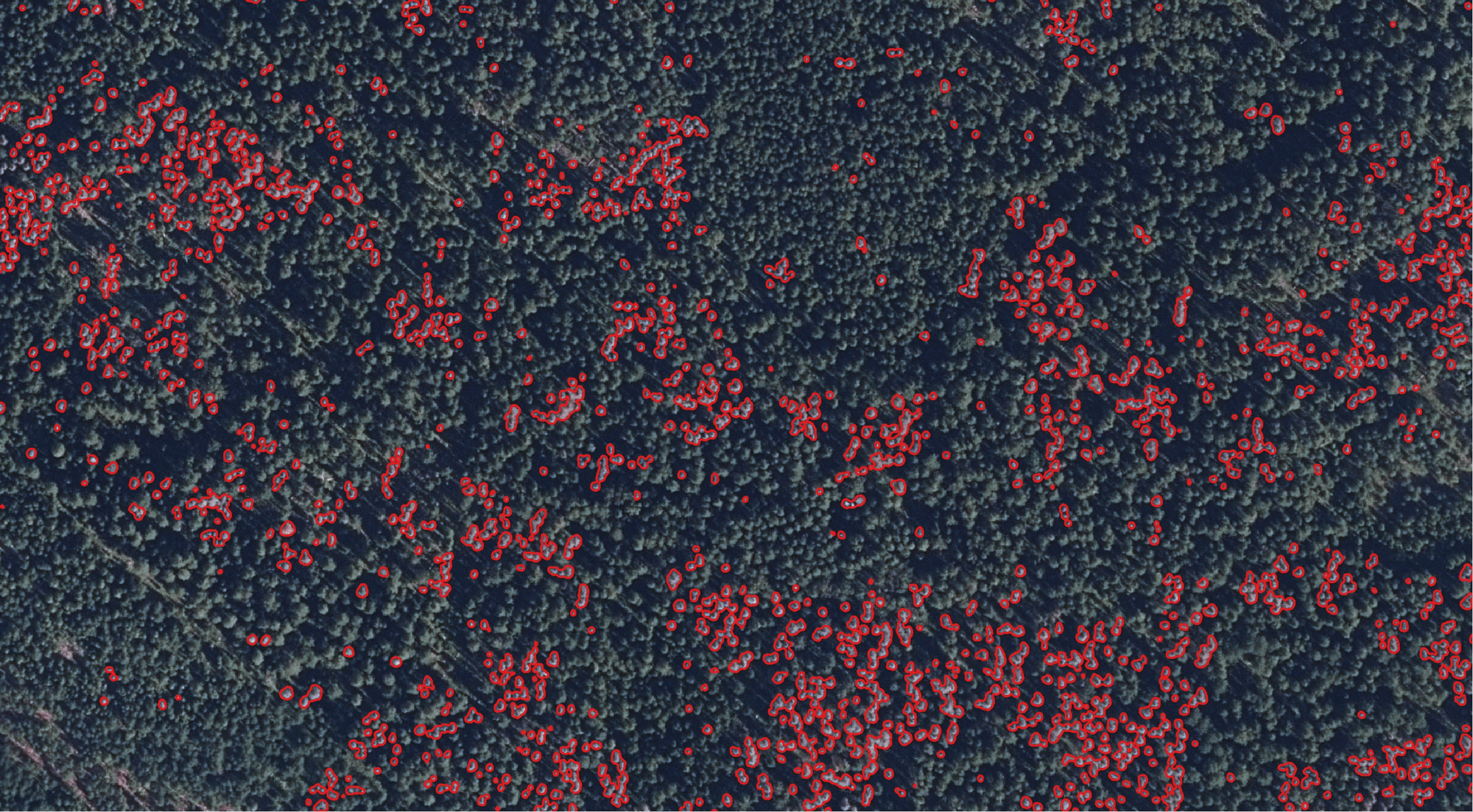 Read more about the article KOKO Forest: Quantifying forest biodiversity using remote sensing