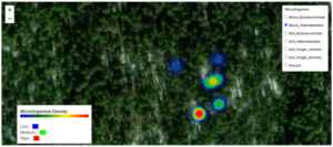 Read more about the article DP-TEC: Revolutionising forest management with AI-driven disease prediction