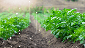 Read more about the article BioBoosters accelerator programme boosts innovation in bioeconomy and agritech