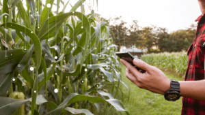 Read more about the article Navigating Innovations and Bridging Gaps in Food Safety